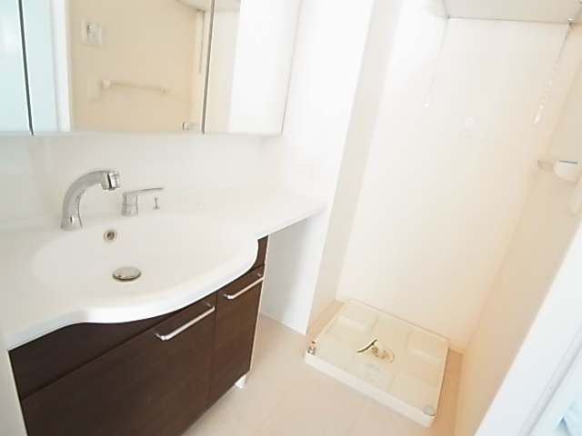 バリスサイトＦ その他2