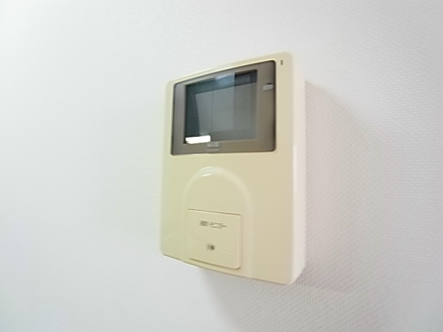 ラフィーヌ・昴 その他2