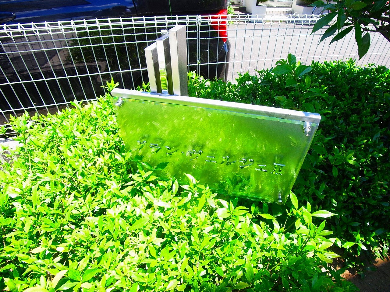 グラン・ヴェルジェⅡ その他外観4