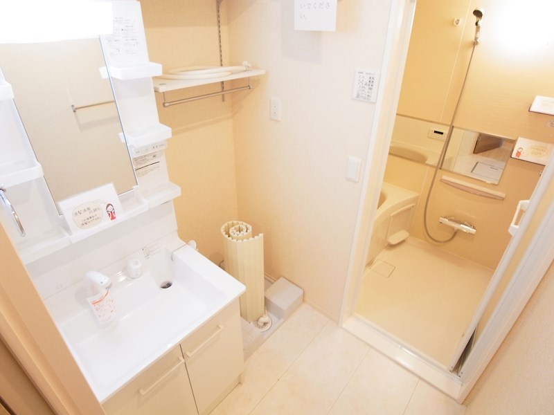 アステールピュールM その他2