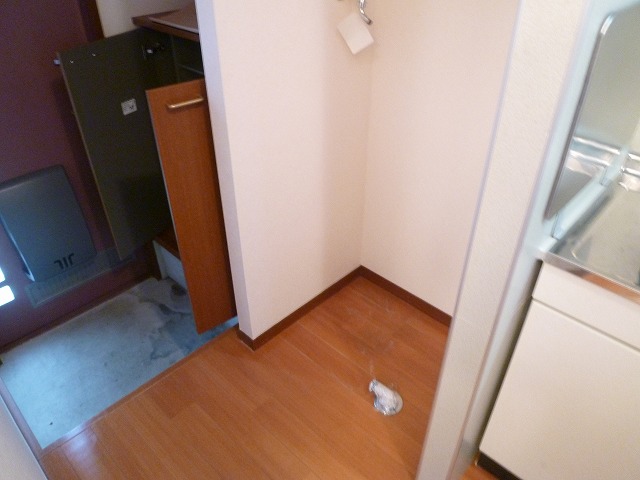 ハイム　シンシア その他