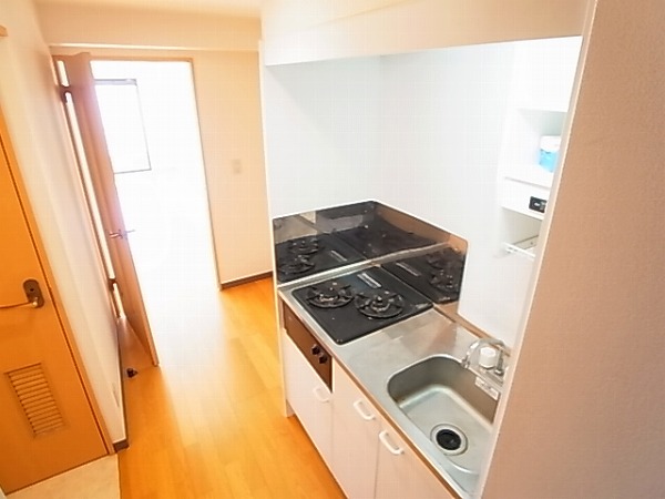 カネキン第二ビル キッチン