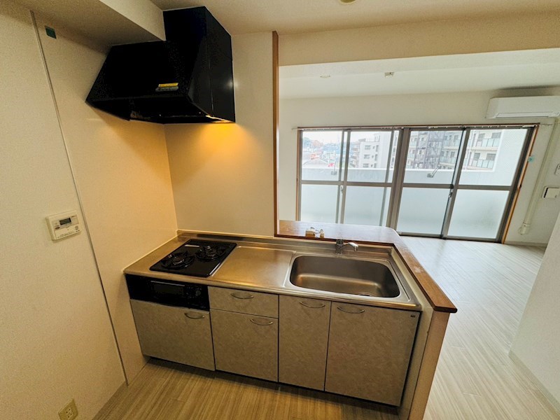 シャルマンフラットリヴァーⅡ その他35