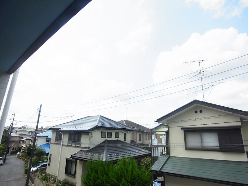 krasuco柏 その他5