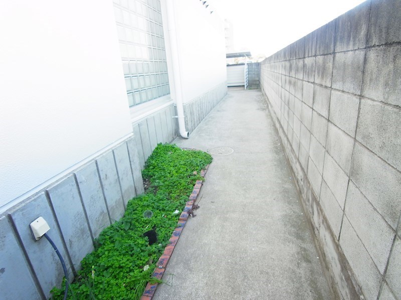 palette 柏 その他外観3