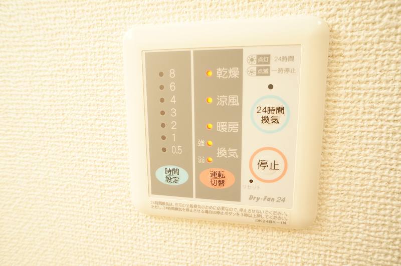 エバーグリーンアララギ その他5