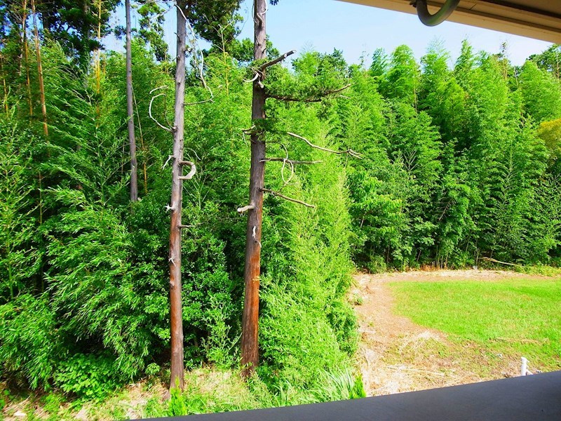 メゾン　チェリー その他6