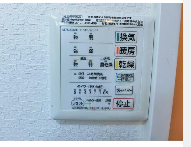 プルメリア その他