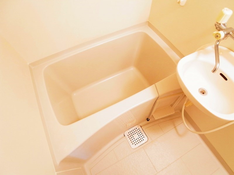 カーサベルデ その他12