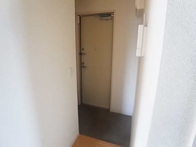 ウィルサクスィード 玄関