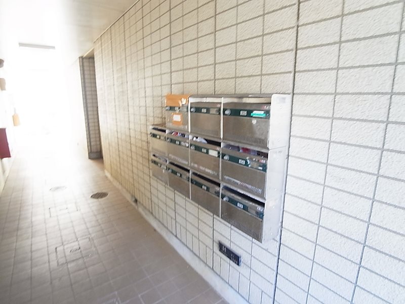 ドフィーヌ松戸 その他外観3