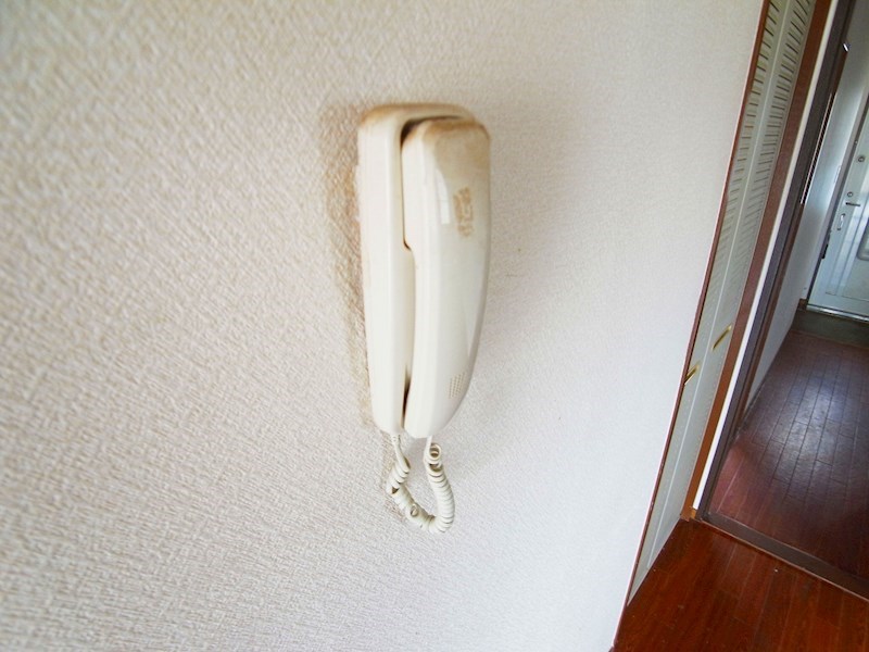 サブラインセジュール その他15