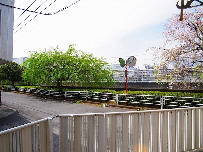 ドリームハイツ その他6