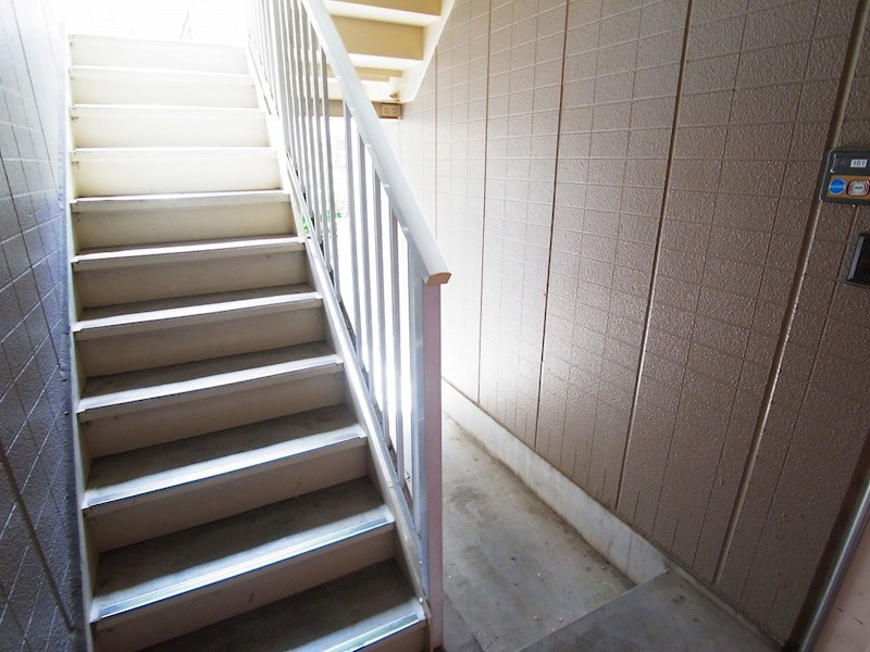 ドリームハイツ その他外観4