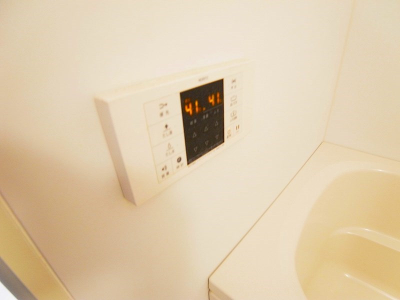 シラカワパレス その他