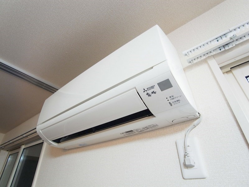 ルピナス７ その他5