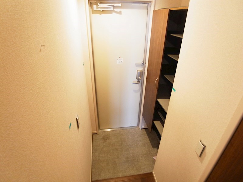 ルピナス７ その他9