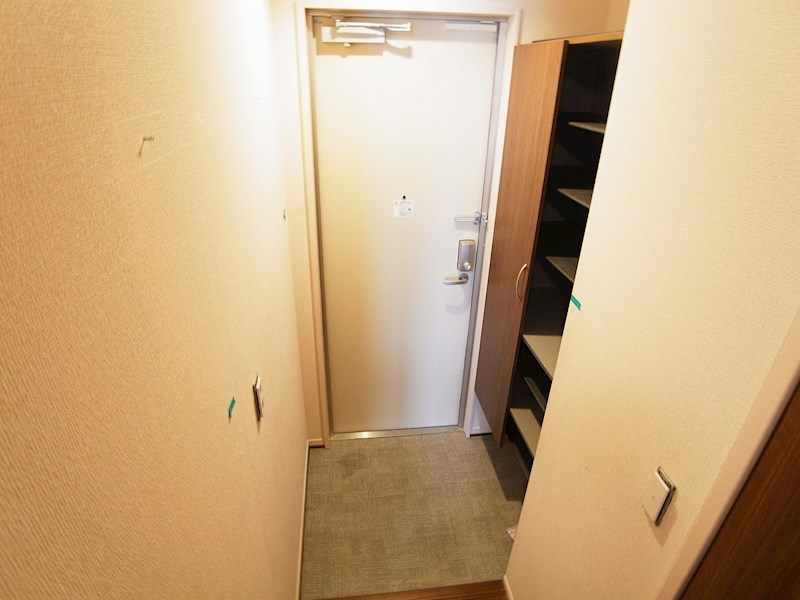 ルピナス７ その他10