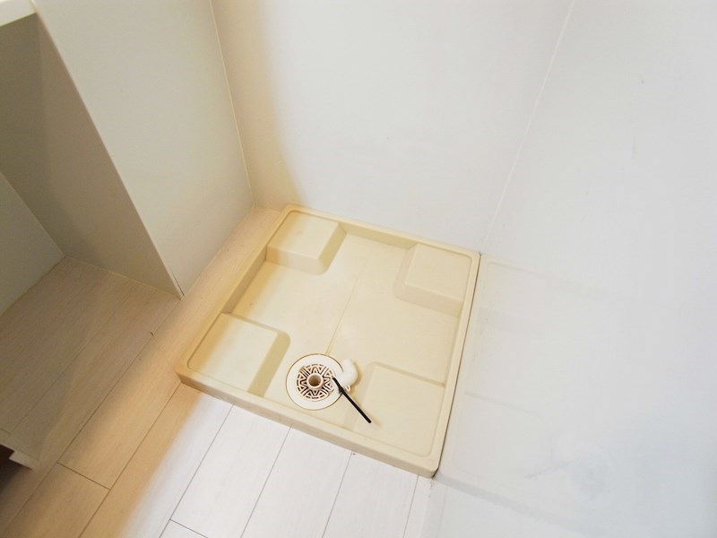 ルピナス７ その他14