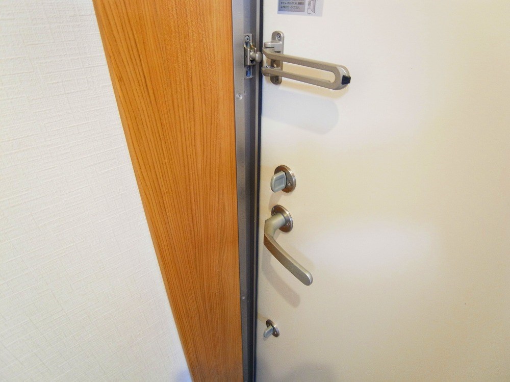 リビオン・タートル その他17