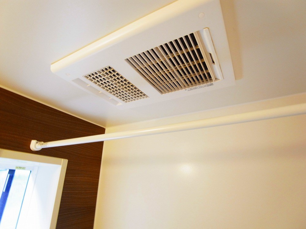 リビオン・タートル その他23