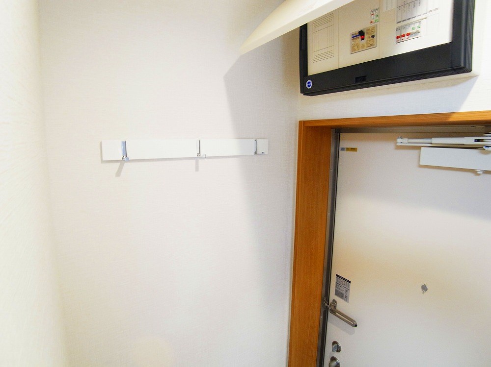 リビオン・タートル その他26