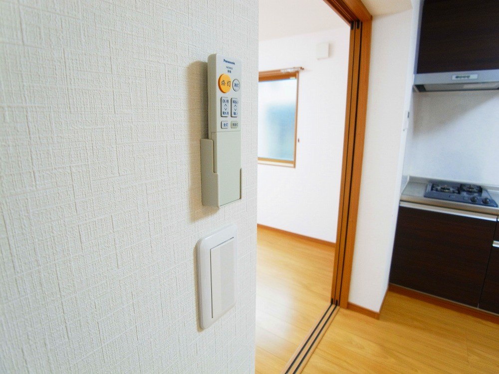 リビオン・タートル その他33