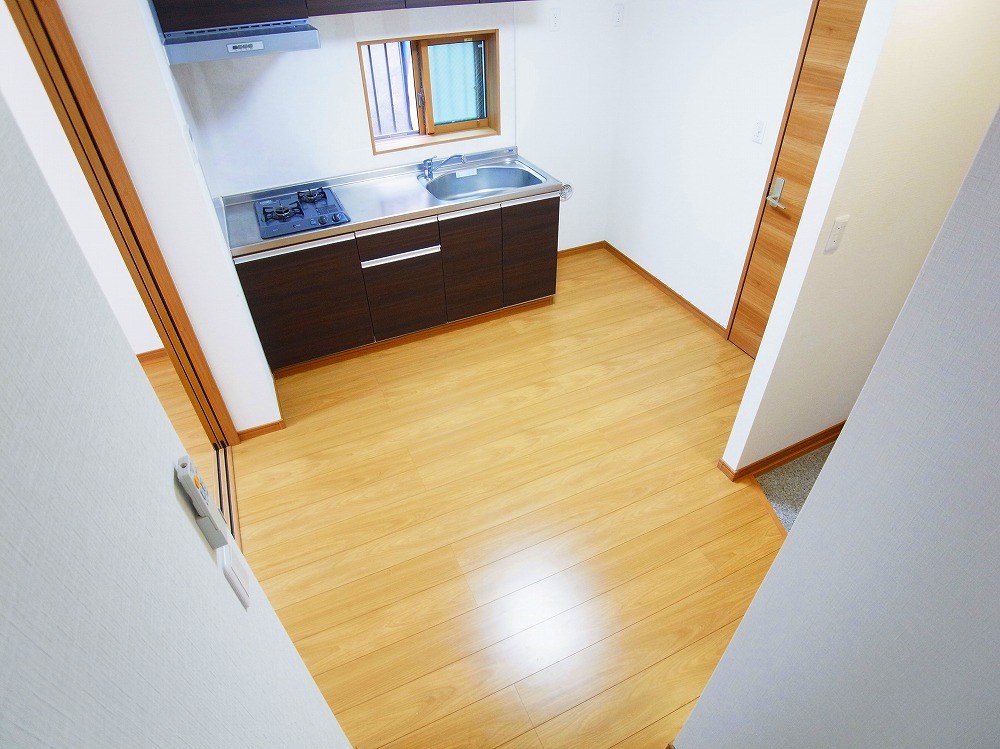 リビオン・タートル その他38