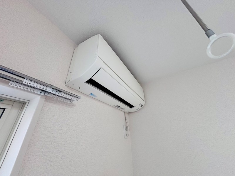 アムール橘 その他6
