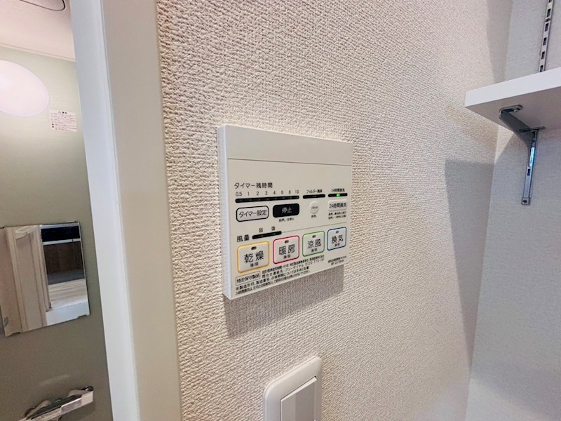 アムール橘 その他15