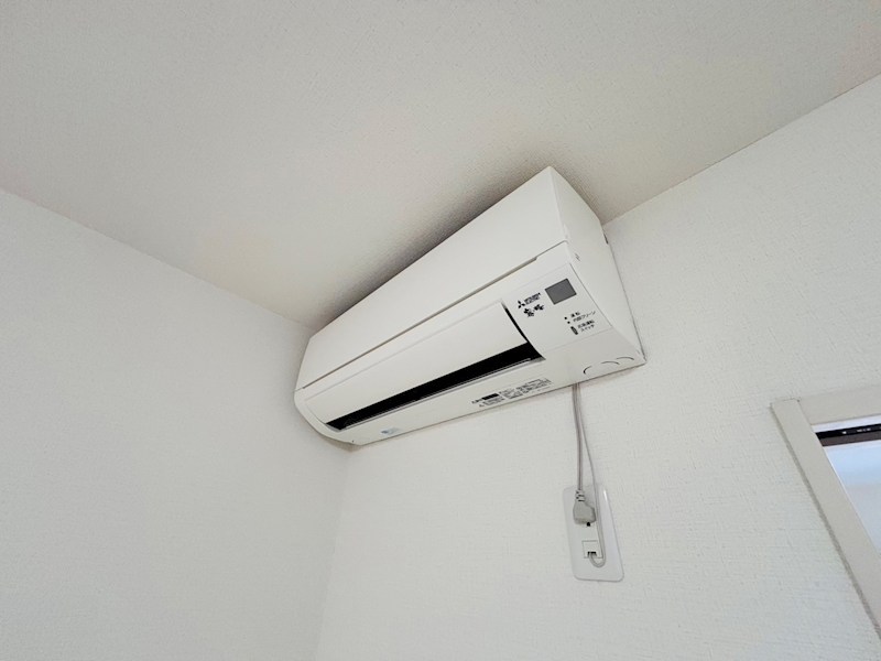 アムール橘 その他17
