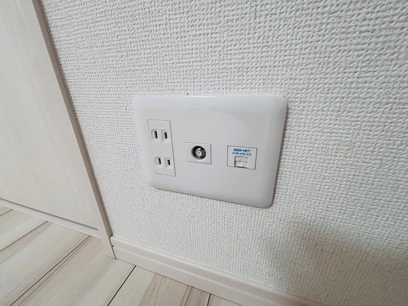 アムール橘 その他20