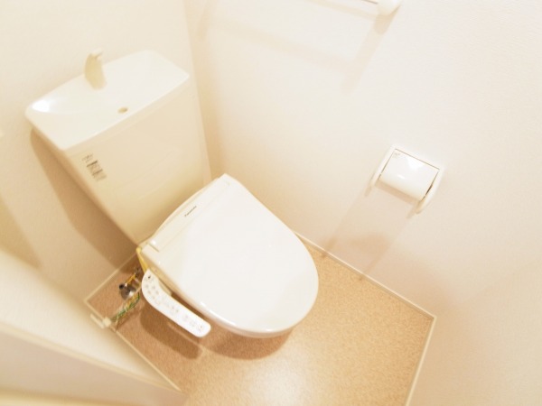 アルファ　クレスト その他1