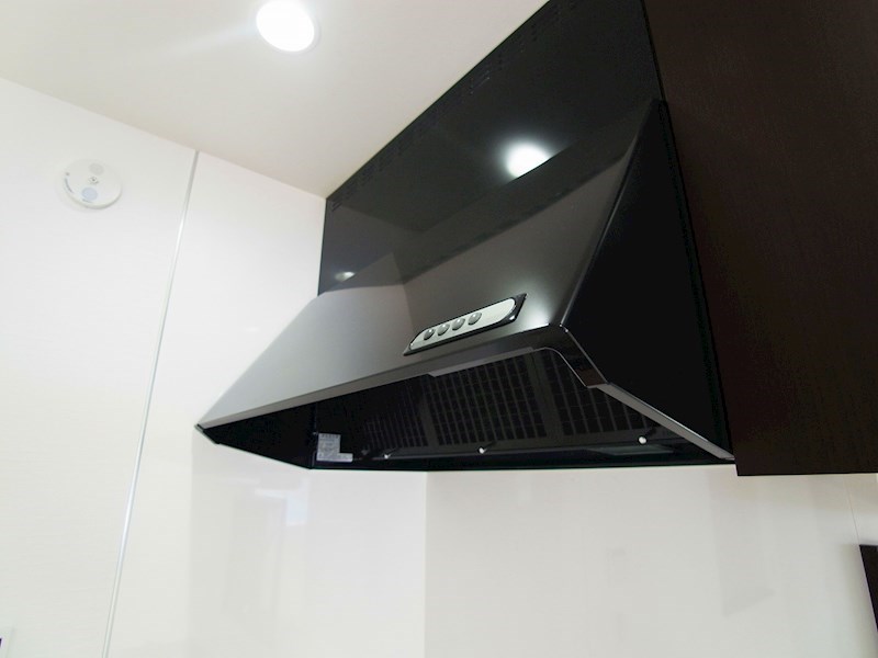 ウェルスA その他19