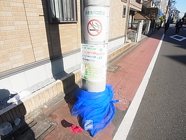 Ｃａｓａ　Ｓｕｚｕｍｕｒａ その他外観4