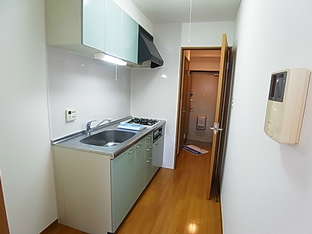 ラフィーヌ・昴Ⅱ その他8