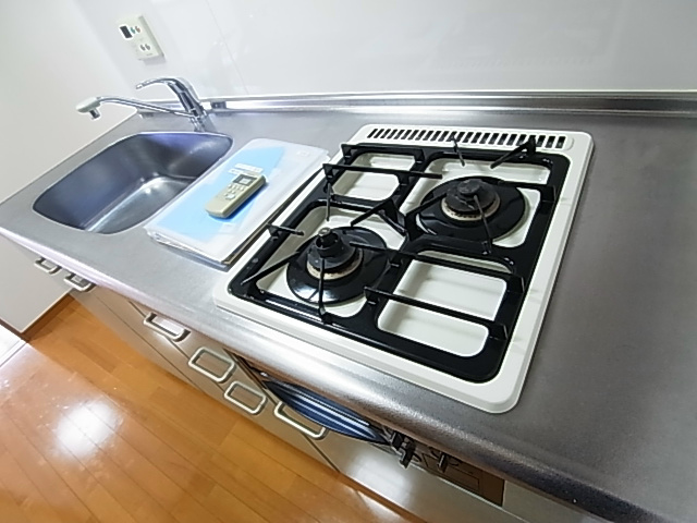 ラフィーヌ・昴Ⅱ その他9