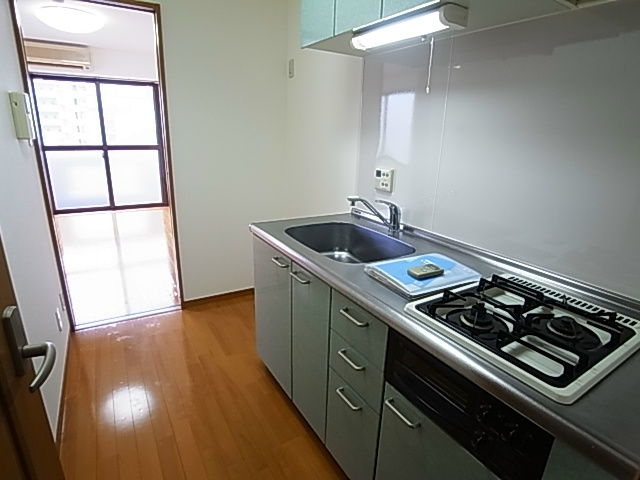 ラフィーヌ・昴Ⅱ キッチン