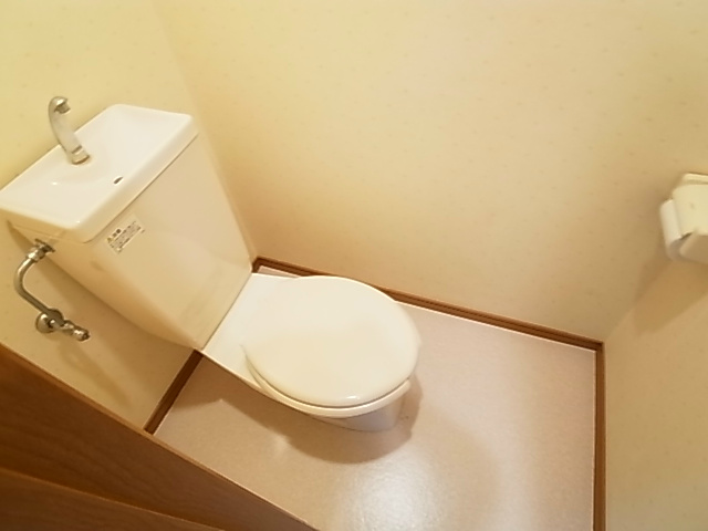 ラフィーヌ・昴 その他1