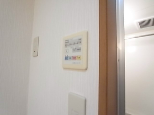 ラフィーヌ・昴 その他9