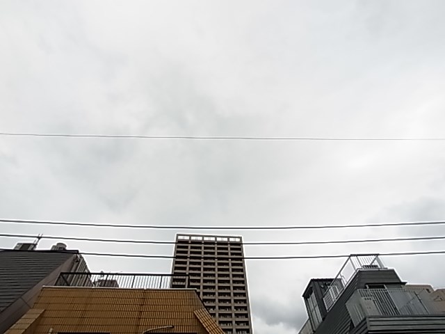 Ｐｒｅｇｏ３ その他7