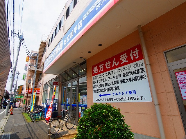 クレメンティア北綾瀬 周辺画像1