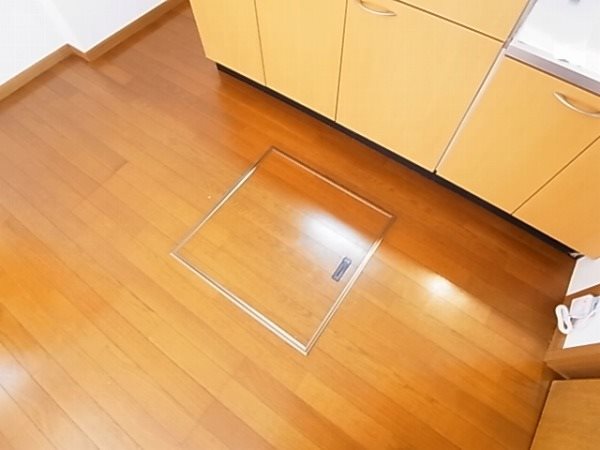 コモド柏 その他17