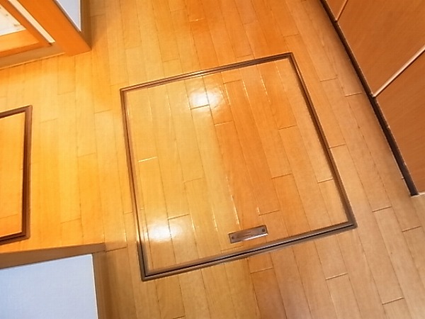 ピアリープレイス その他12