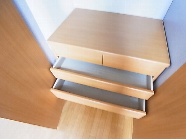 ピアリープレイス その他18