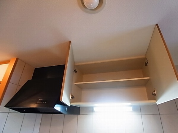 ピアリープレイス その他21