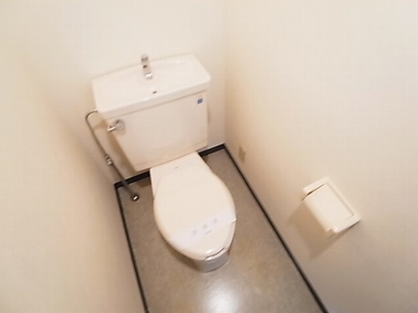 フォレスト その他1