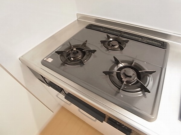 スプランドゥールⅡ その他16