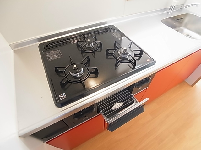 八ヶ崎戸建貸家 その他10