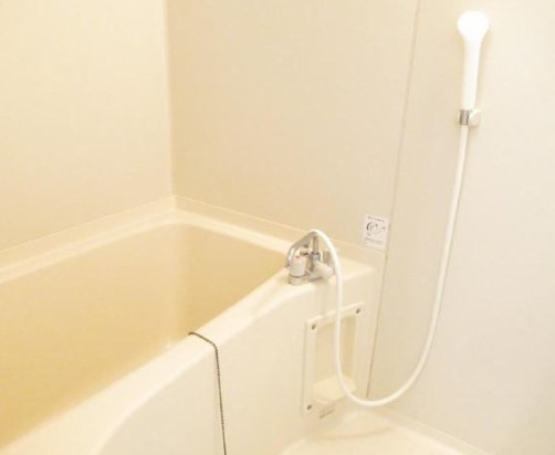 ラフィーヌ　吉野Ａ棟 その他17